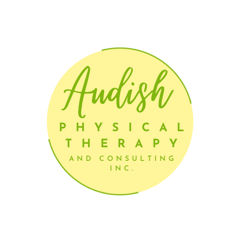 Audish Physical Therapy and Consulting INC
