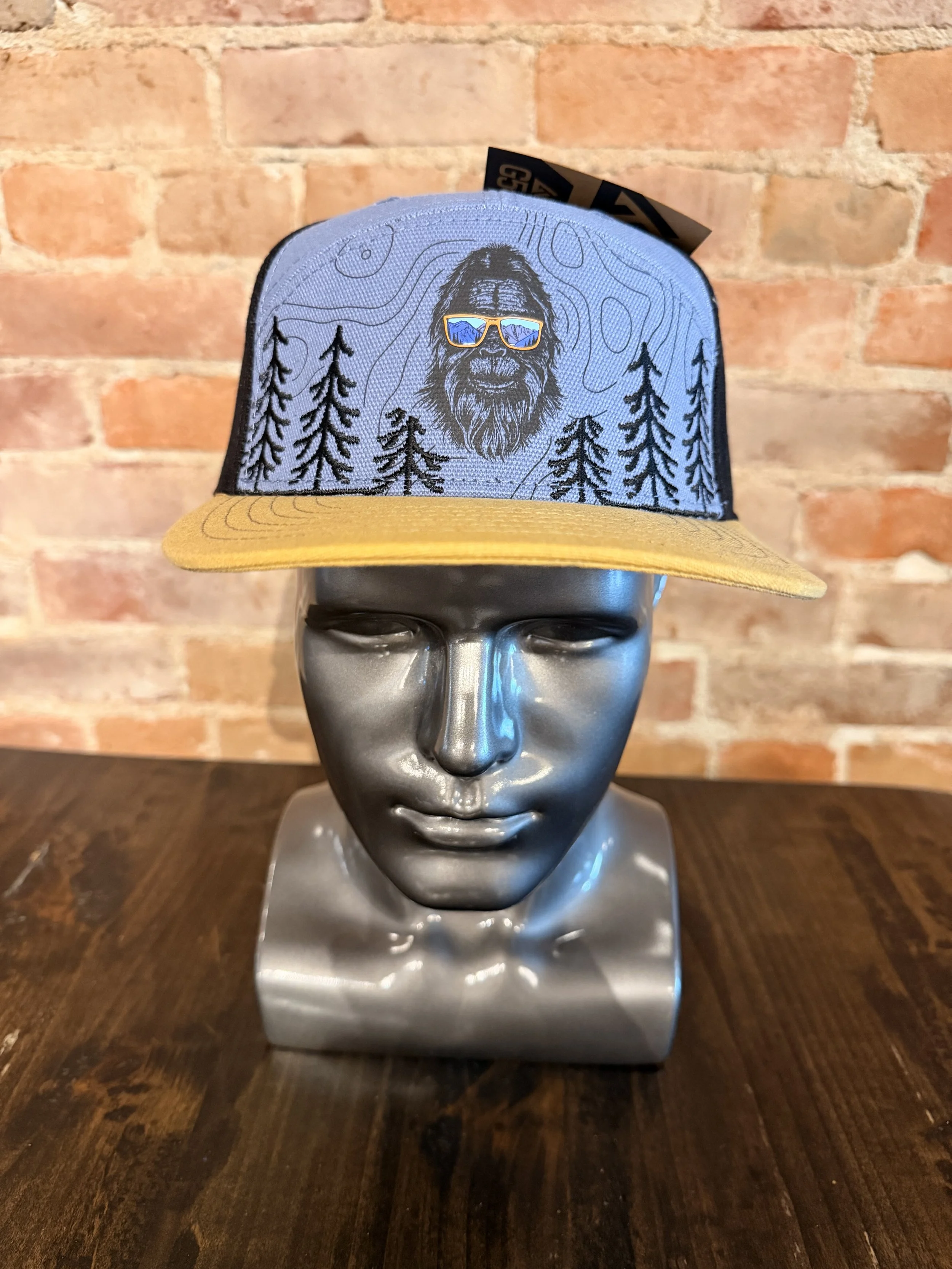 Elevation Sunglasses Hat.jpeg