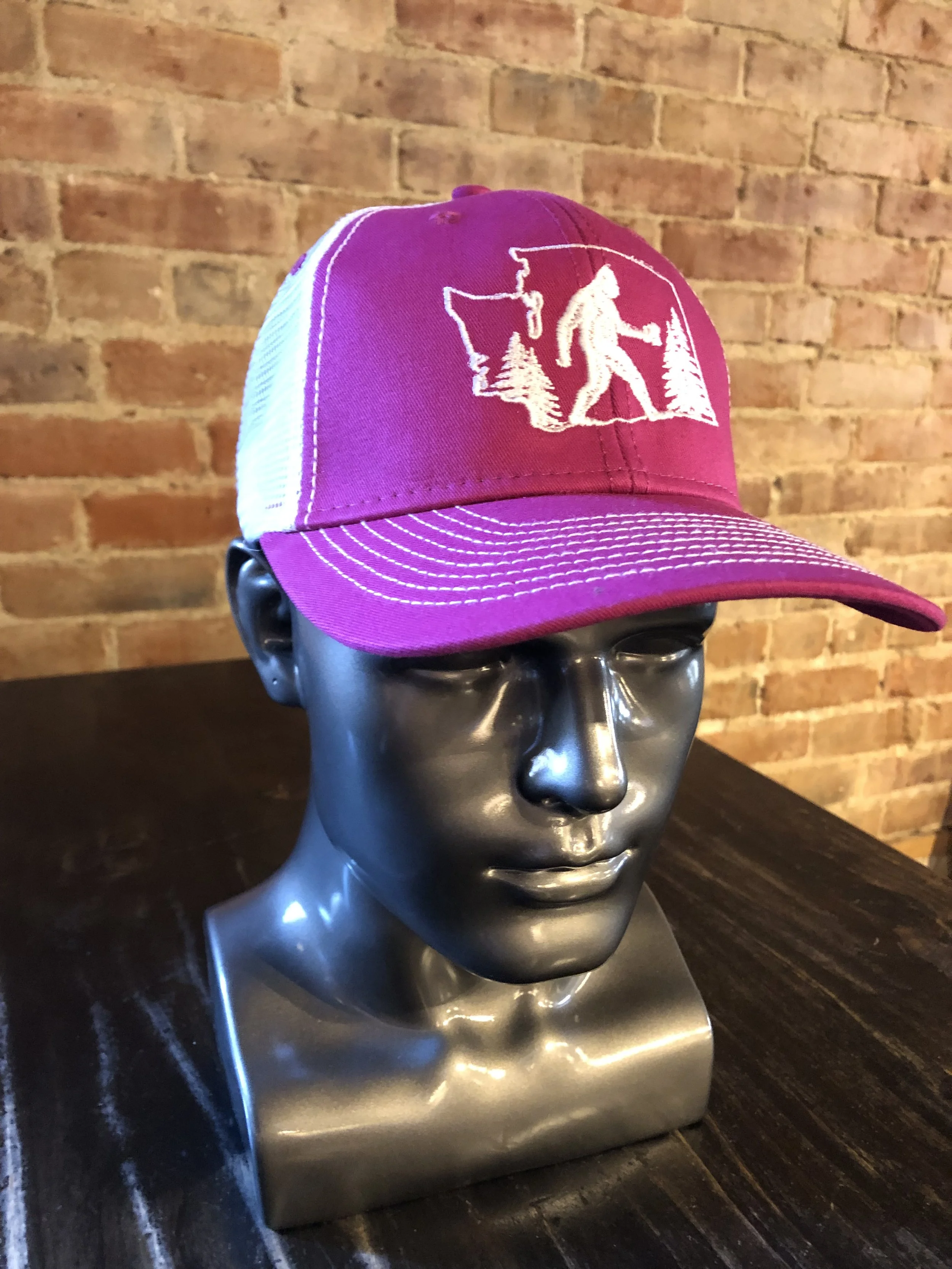 Pink Stein Logo Hat
