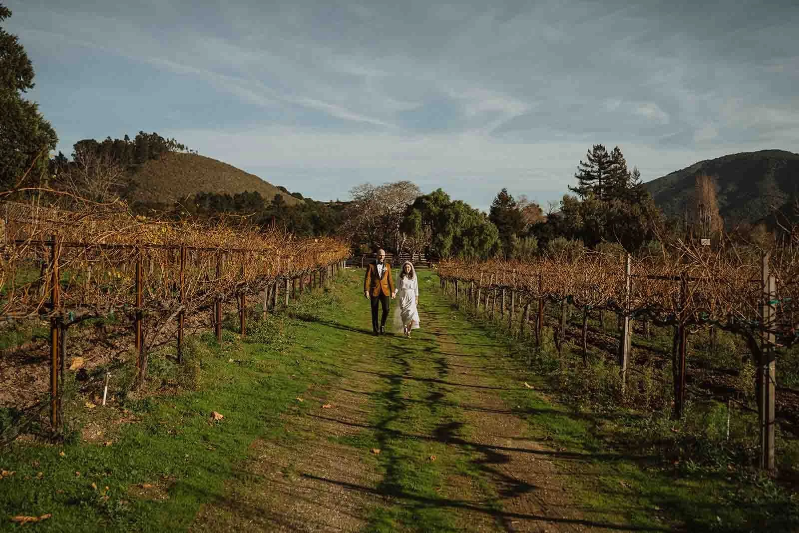 Brittney and Ola Sage Blossom Wedding Media (99 of 239).jpg