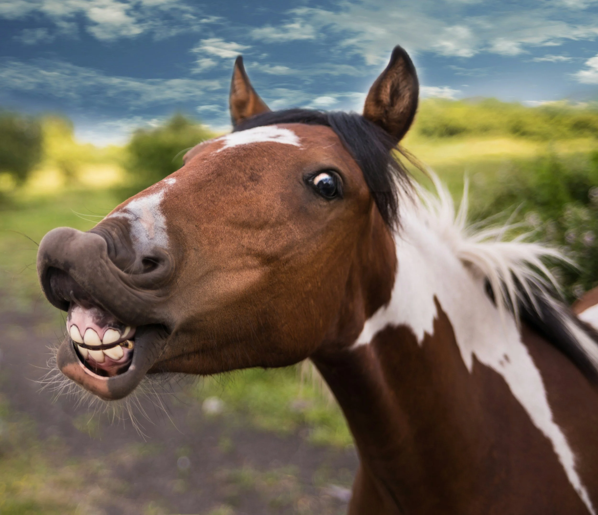 The Role of Humor in Therapy