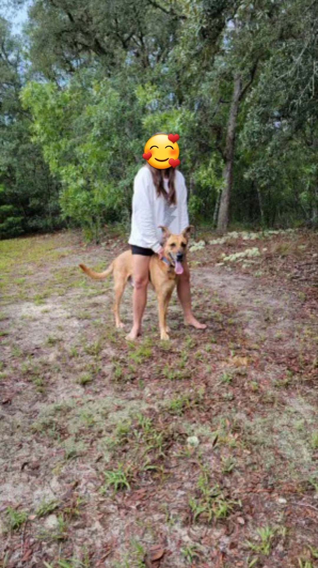        Another Dog Mom Talk