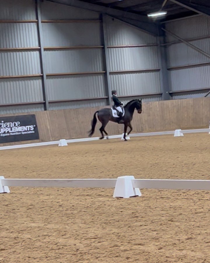 Roughly 12 weeks ago George gave me the ride on the incredible Elf (earning many husband brownie points 🤣). 

Yesterday I did my first ever Advanced Medium and my first show on Elf. Feeling very nervous and completely out of my comfort zone, the fir