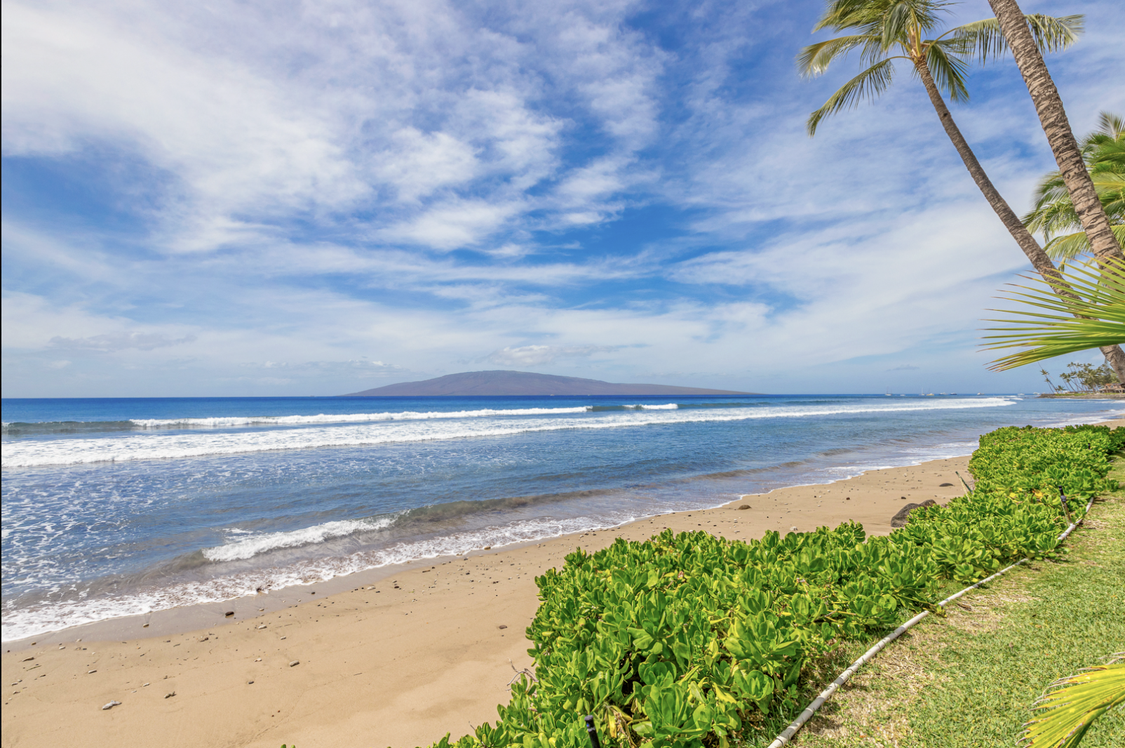 Screenshot 2026-04-15 at 6.43.52 PM.png