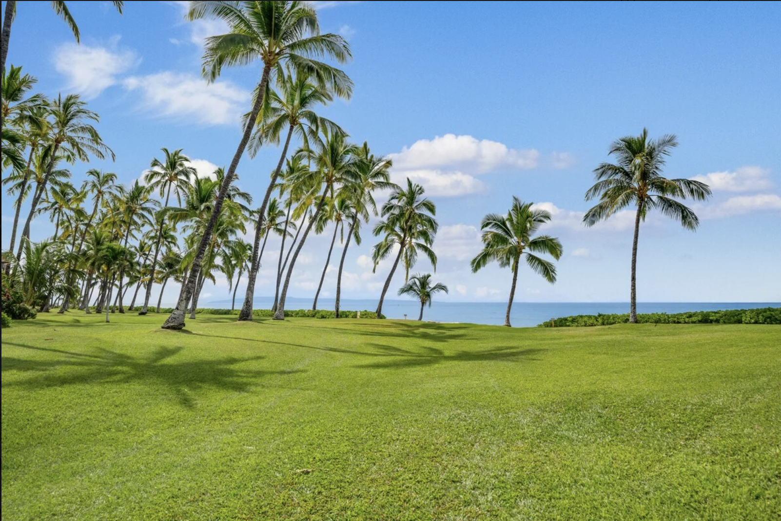 Screenshot 2026-04-15 at 6.43.23 PM.png