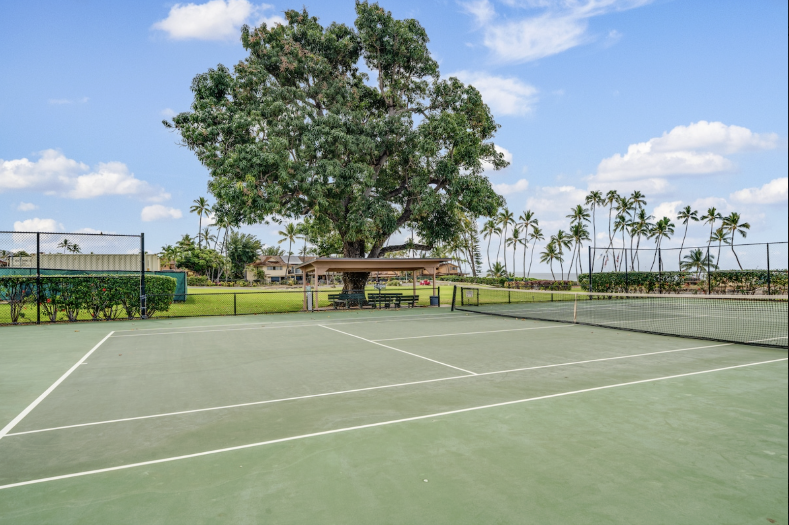 Screenshot 2026-04-15 at 6.42.38 PM.png