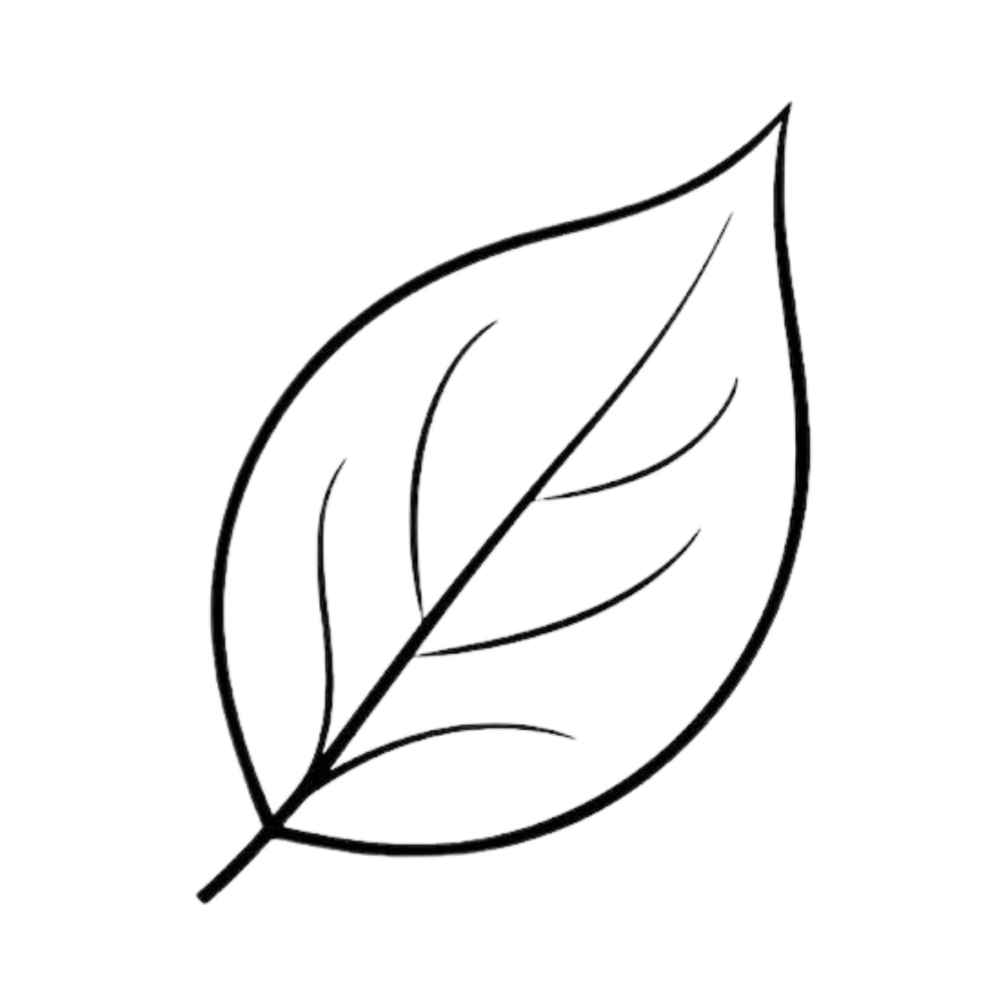 A digital illustration of a plant with elongated, curved leaves on a black background.