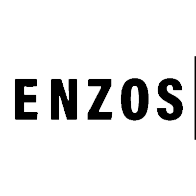 detail-logo-enzos.png