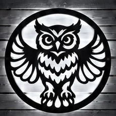 Owl cool.jpg