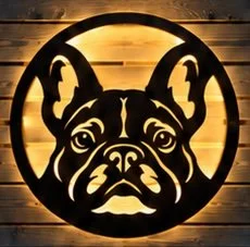 French Bulldog.jpg