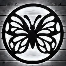 butterfly cool.jpg