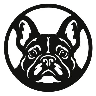 french bulldog.jpg