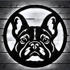 french bulldog cool.jpg