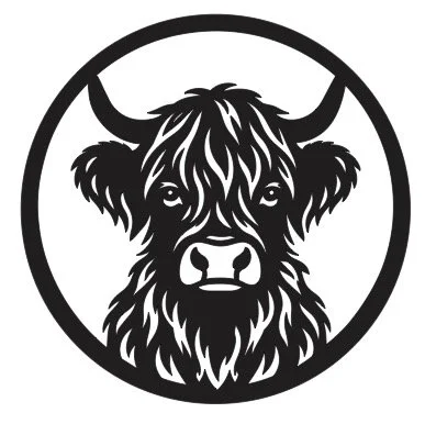 highland cow.jpg