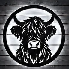 Highland Cow cool.jpg