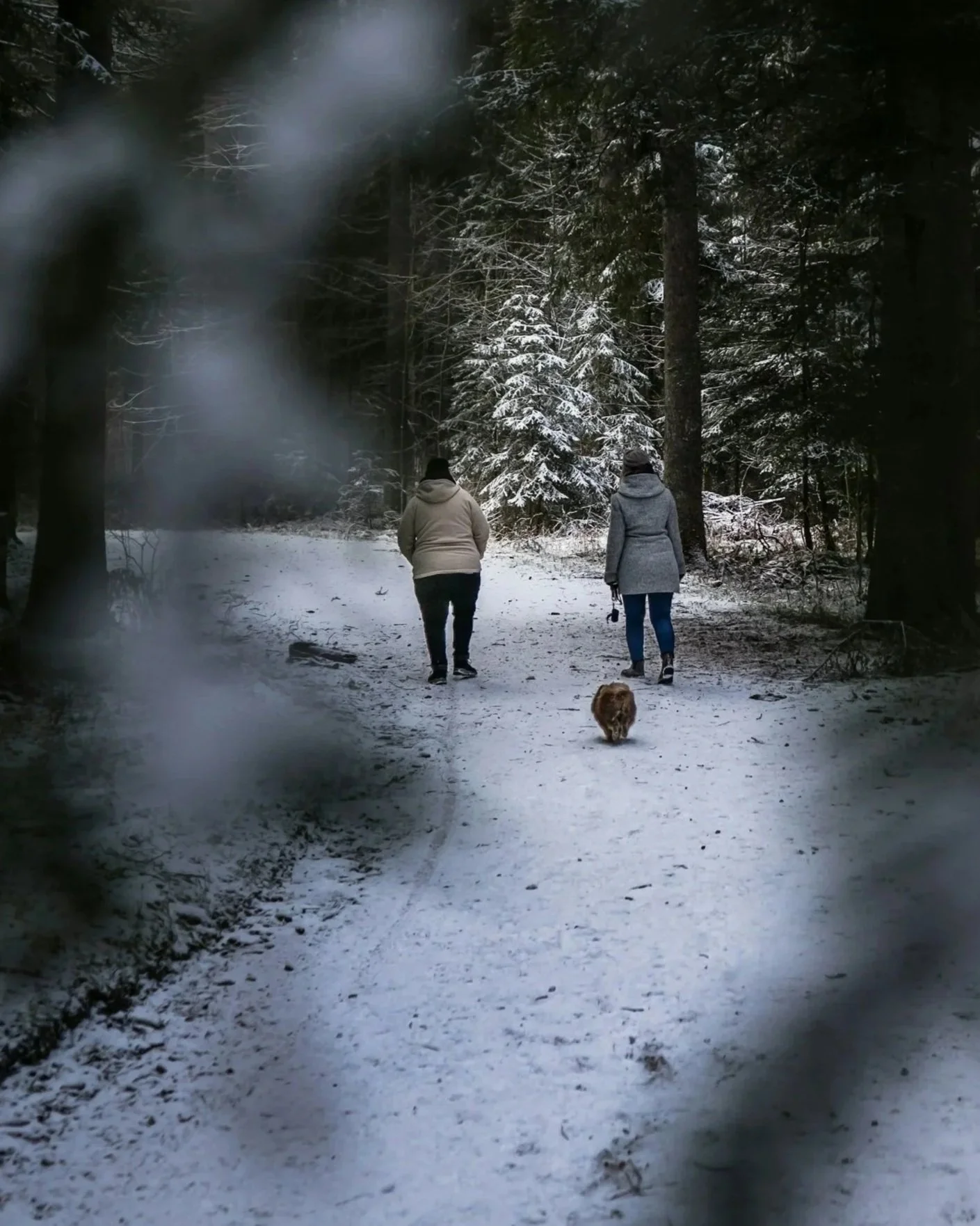 How to Enjoy the Holidays Even When Family is Less Than Perfect