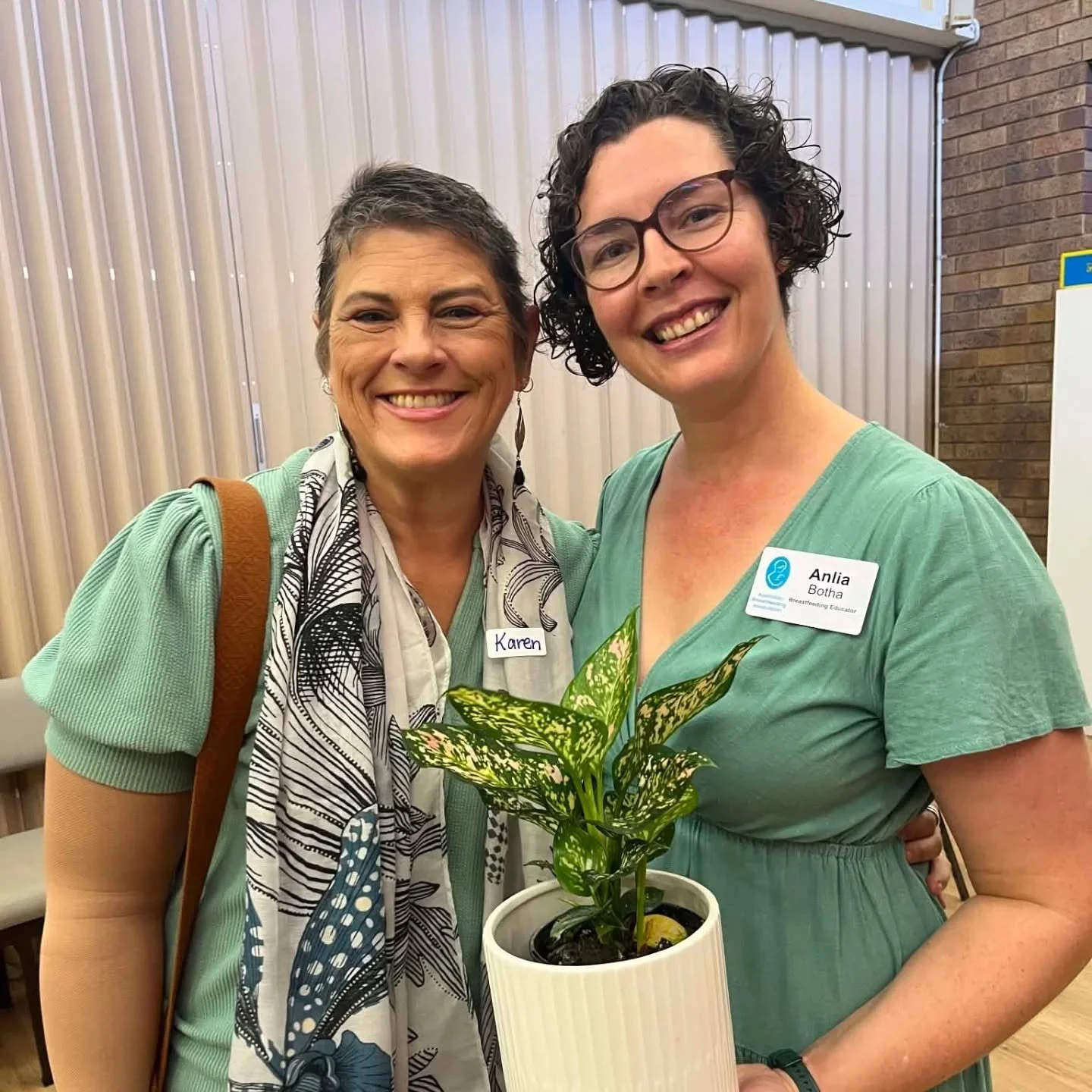 Today I had the pleasure of facilitating a group discussion at the Wynnum Group of the Australian Breastfeeding Association.

Today's discussion focused on self care for mothers, including building a village of support, managing expectations, setting