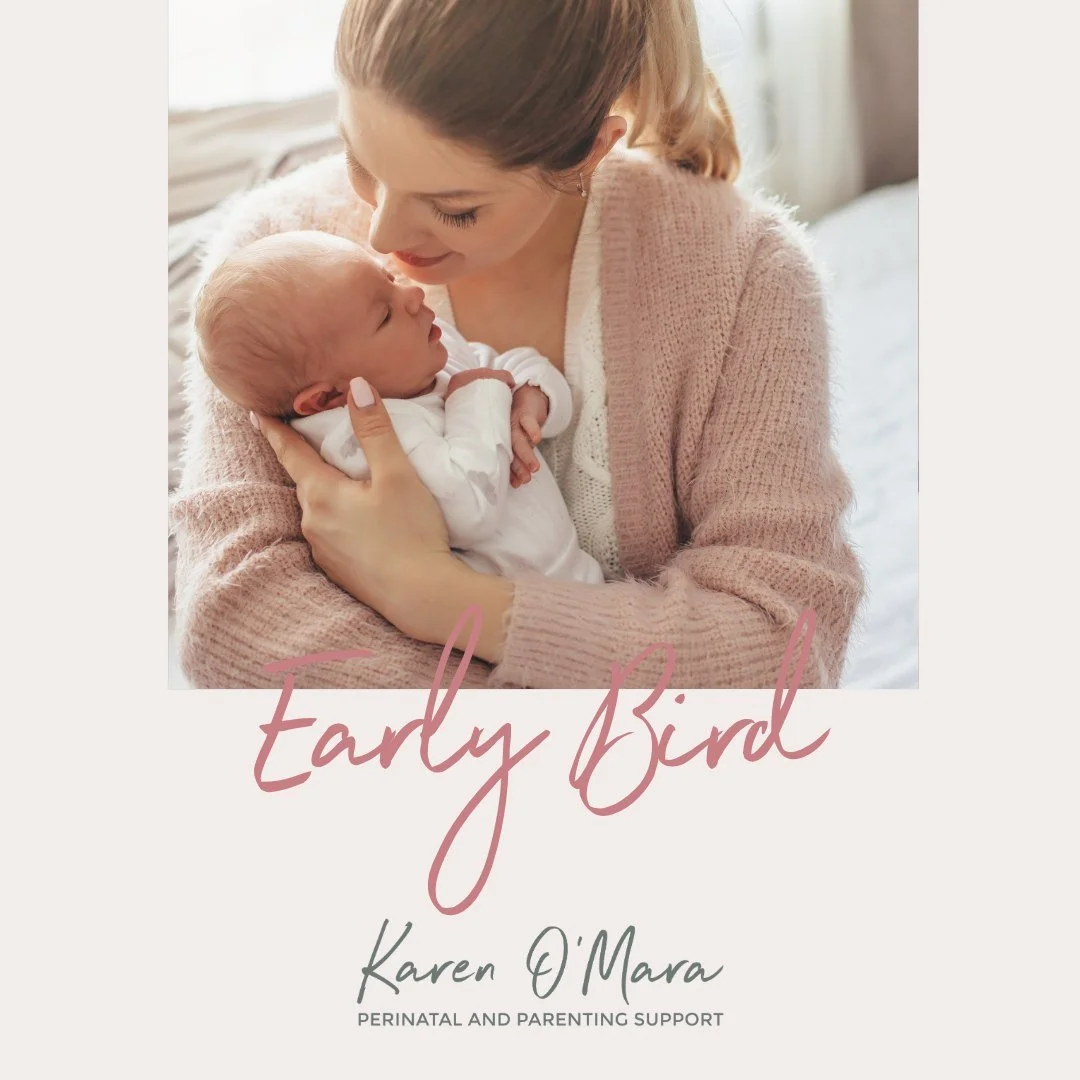 Early bird pricing finishes this week!

When you attend the Mama Village mothers groups you will leave feeling less alone and isolated in your mothering, you will have evidence-based information, tools and strategies to assist you in becoming the bes