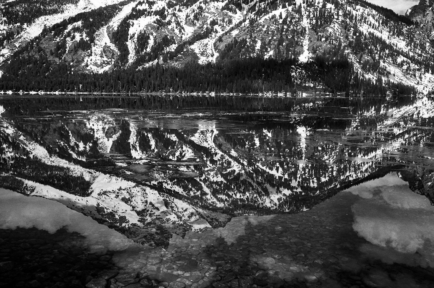 Reflection-Jenny Lake