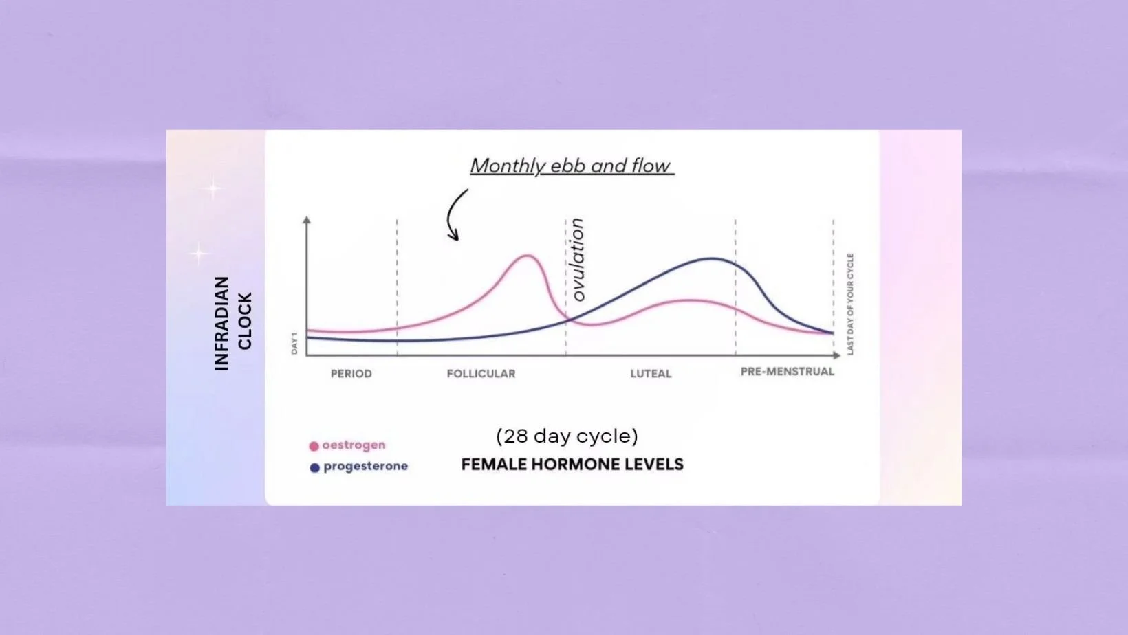 Women's performance biohacking guide for hormonal energy cycles