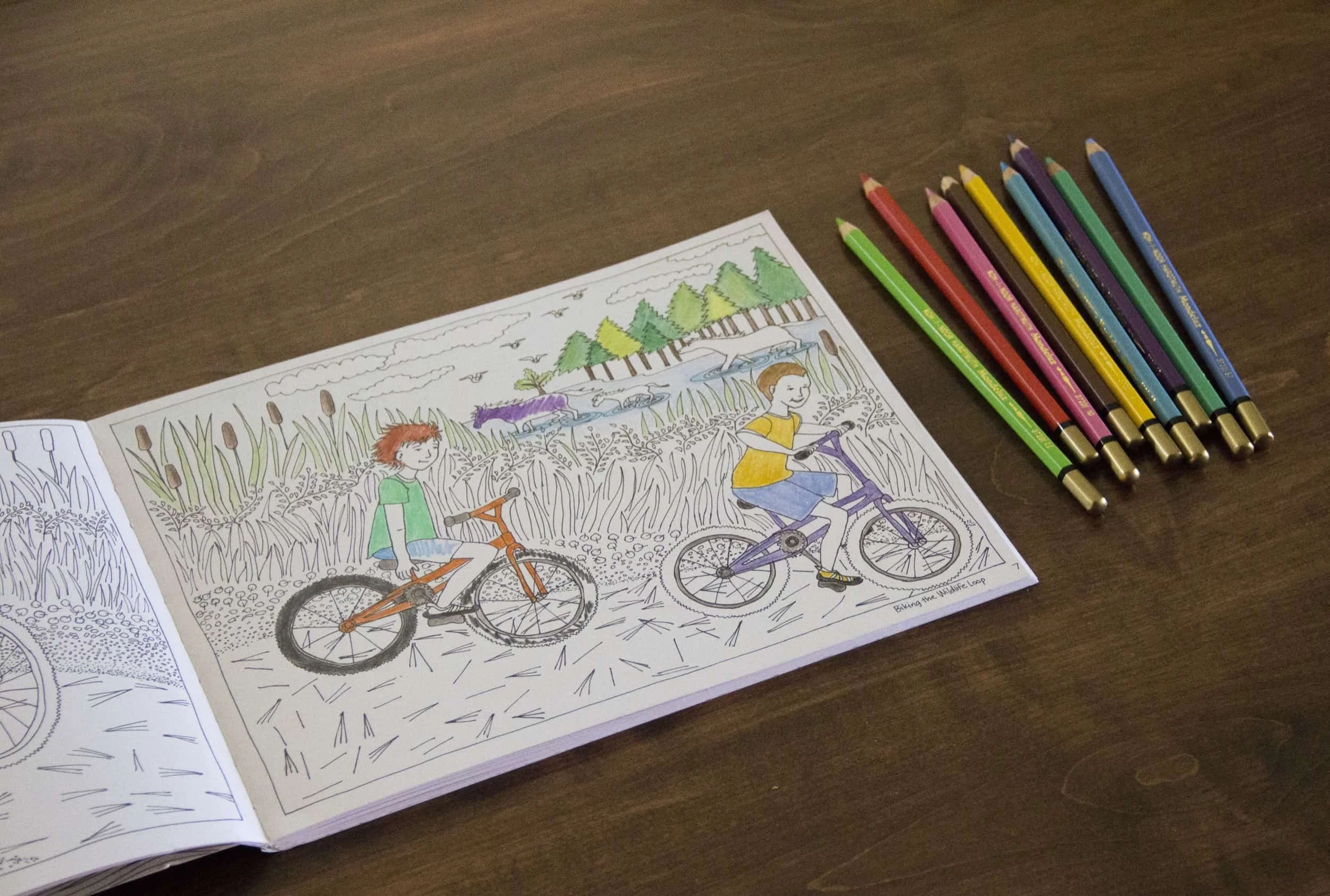 Assateague coloring book