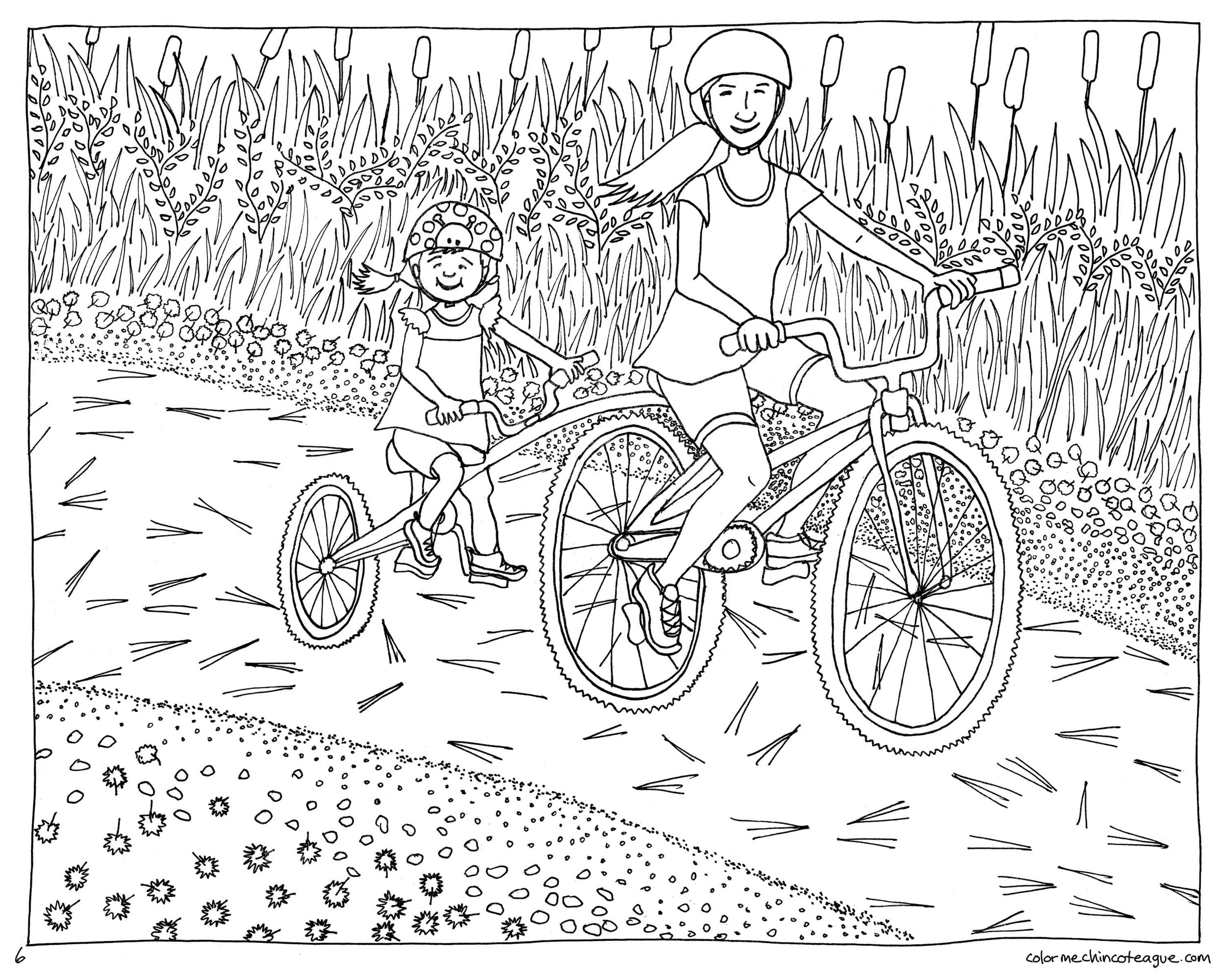 Assateague coloring book page