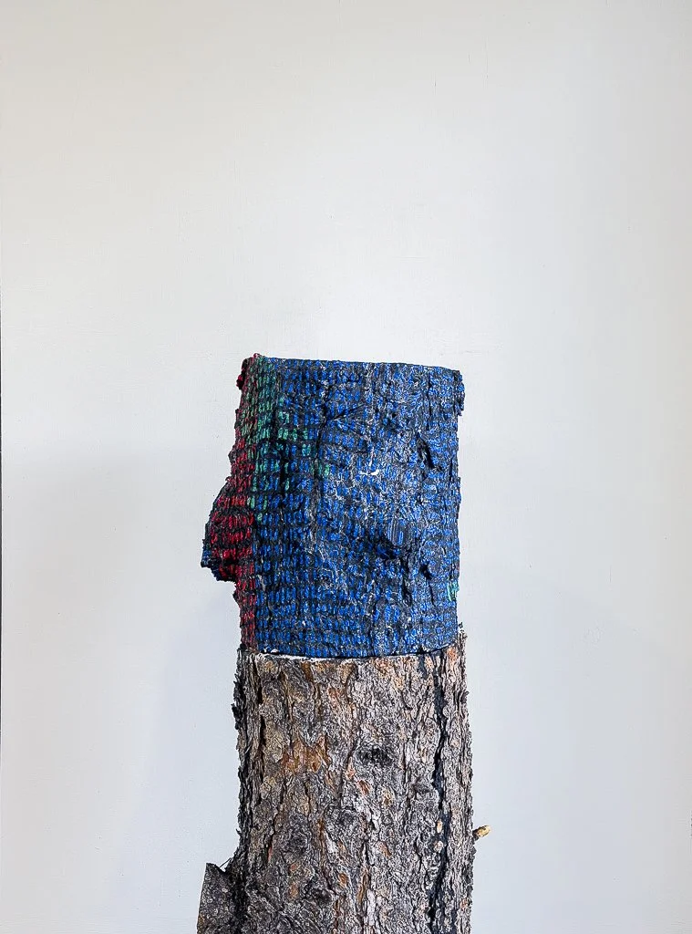 Stump, (#1671), 2026
Oil, Ink on Wood
11  x  11  x  12  in.