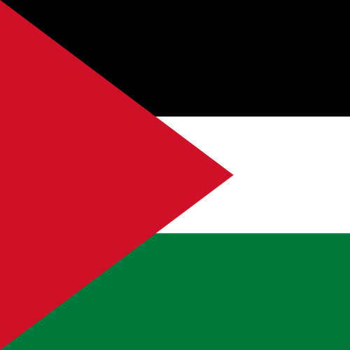 Resources on Palestine and Disability