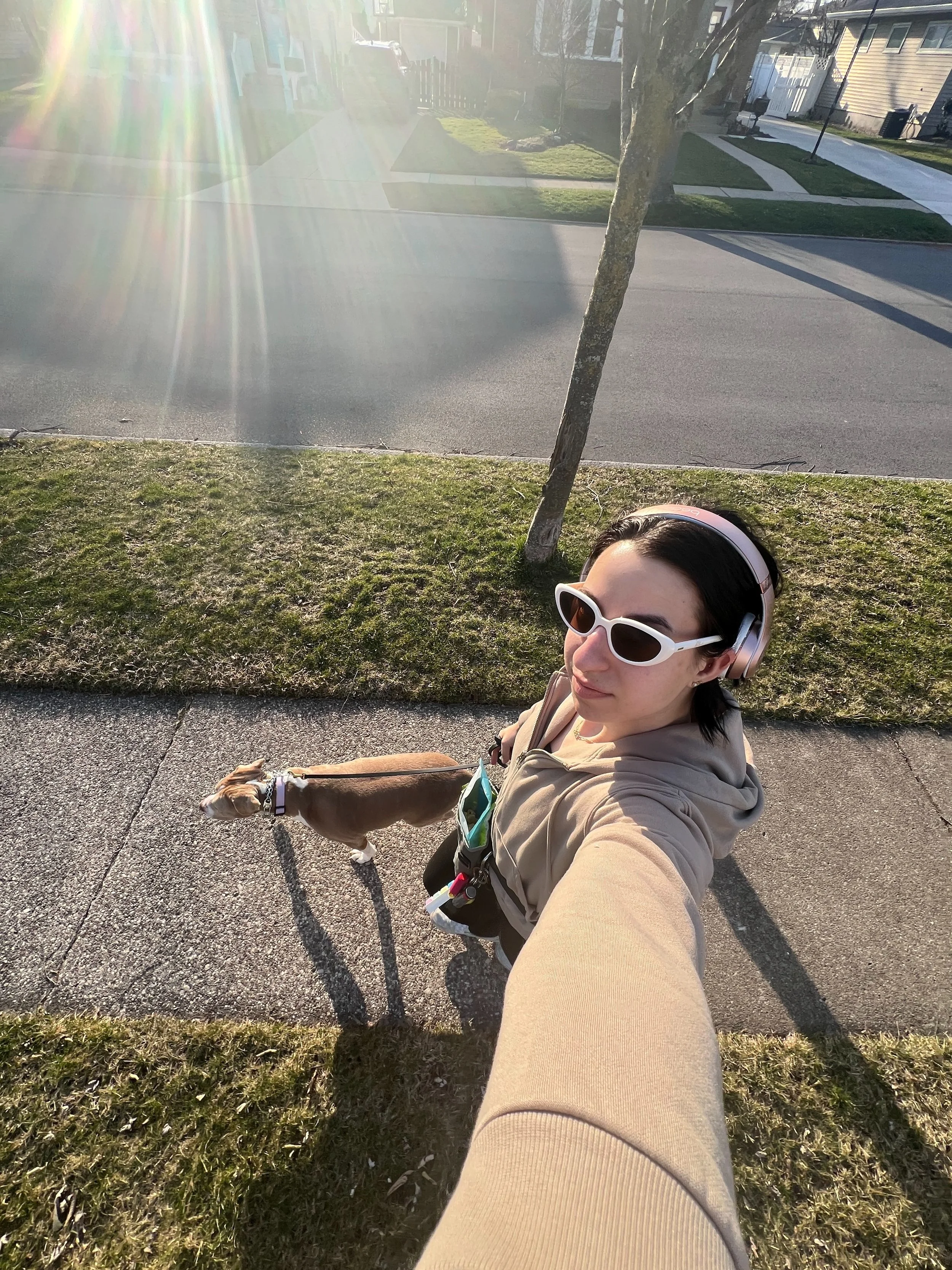 Walking my dog Harlow