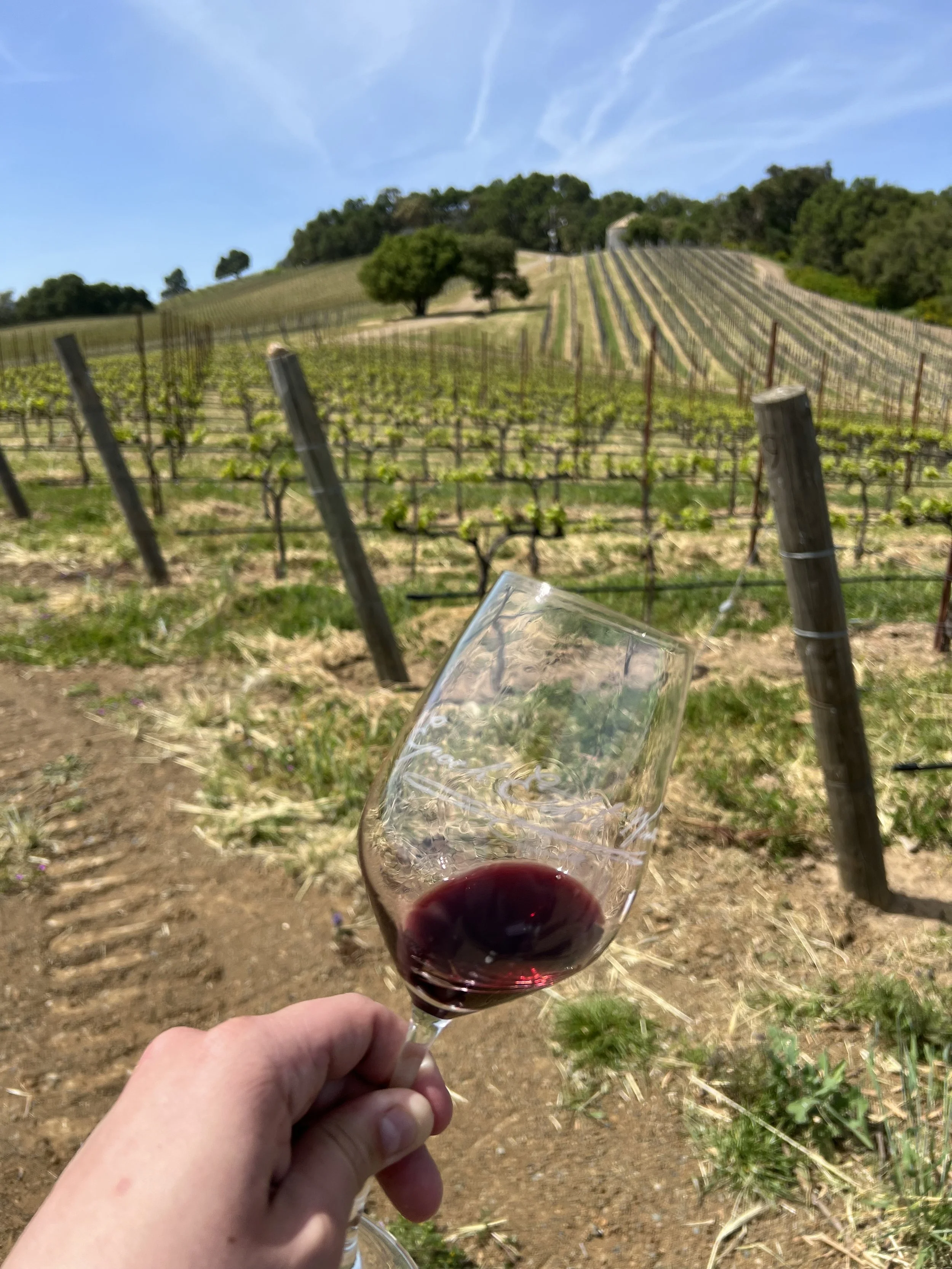 Wine Tasting Club ($250 Off per person till 12/18)- Yearly Membership