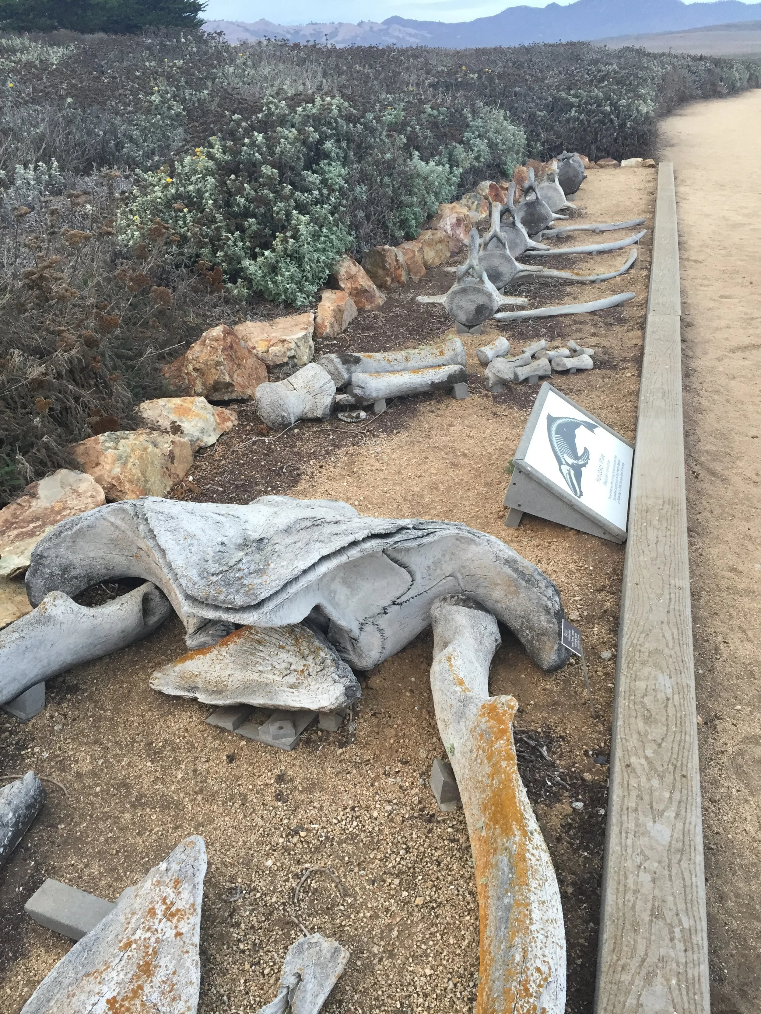 Historical finds at the lighthouse