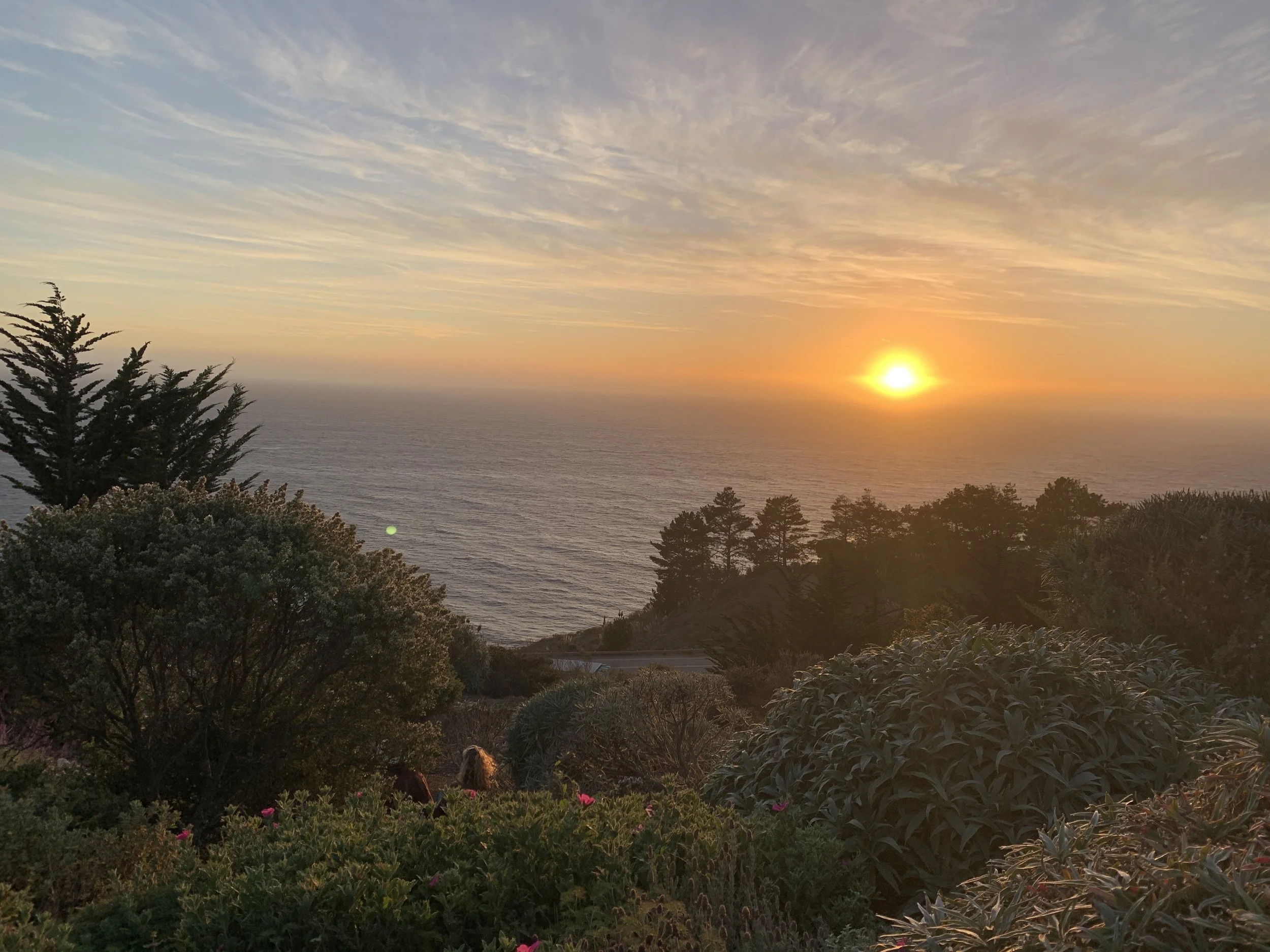 Sunsets at Treebones