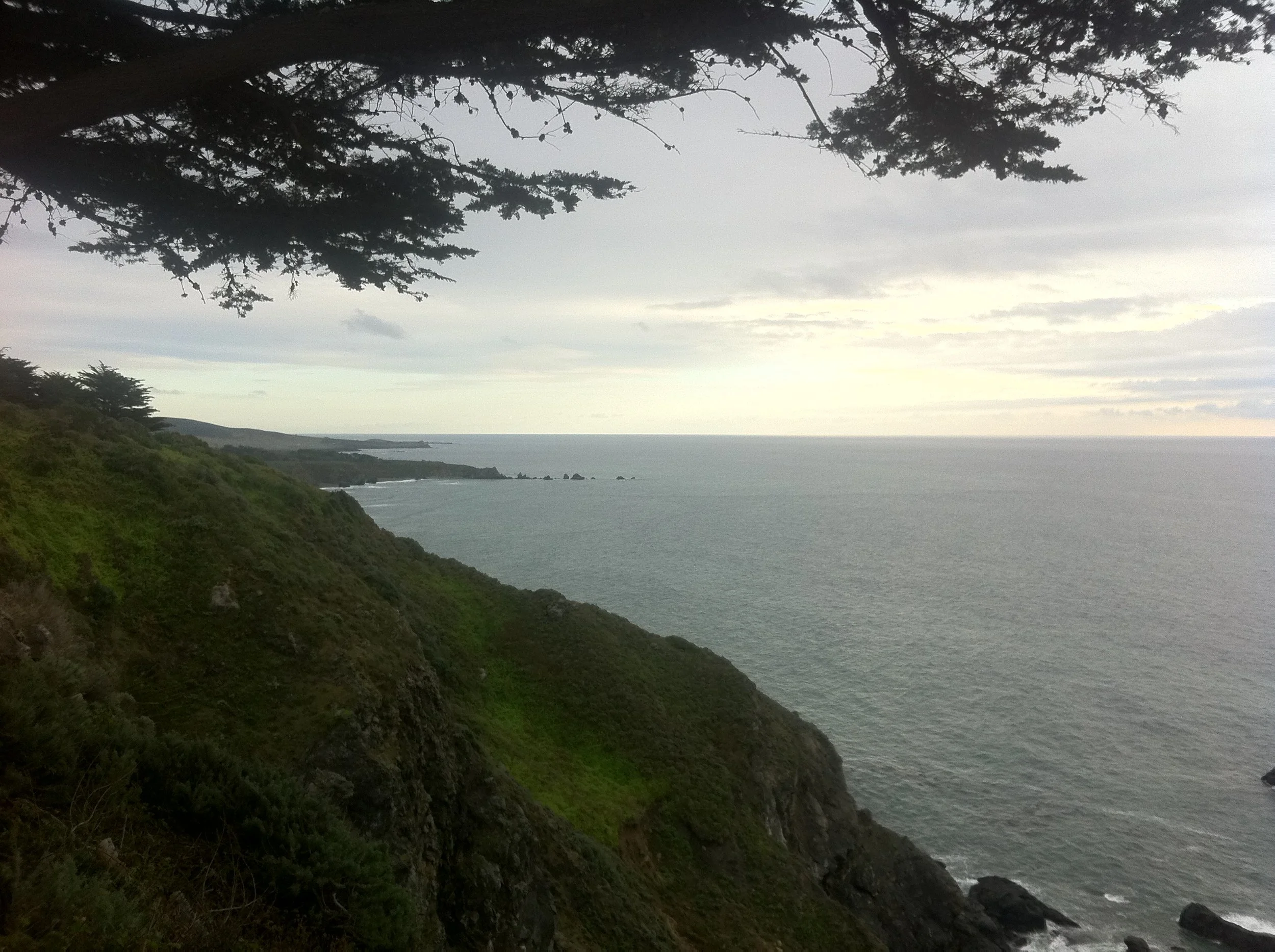 Ragged point views