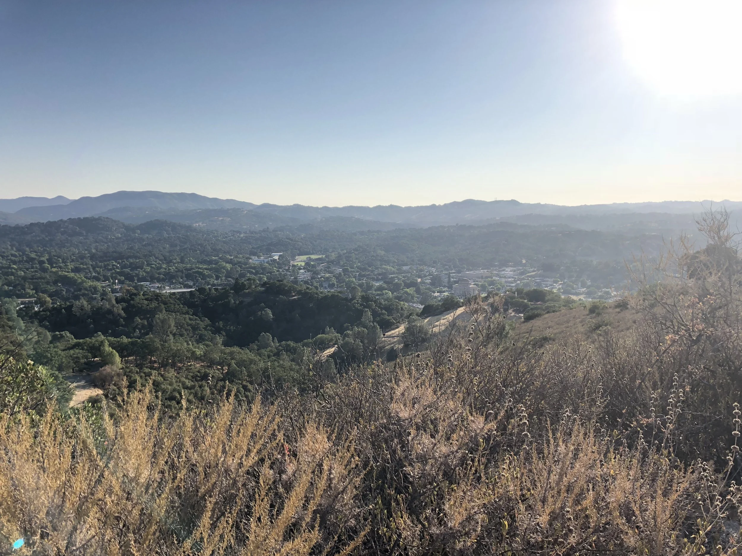 More Stadium Park views