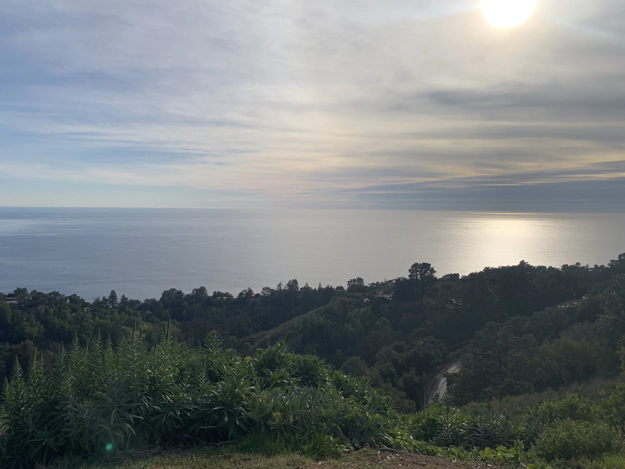 Atop Buzzard's Roost