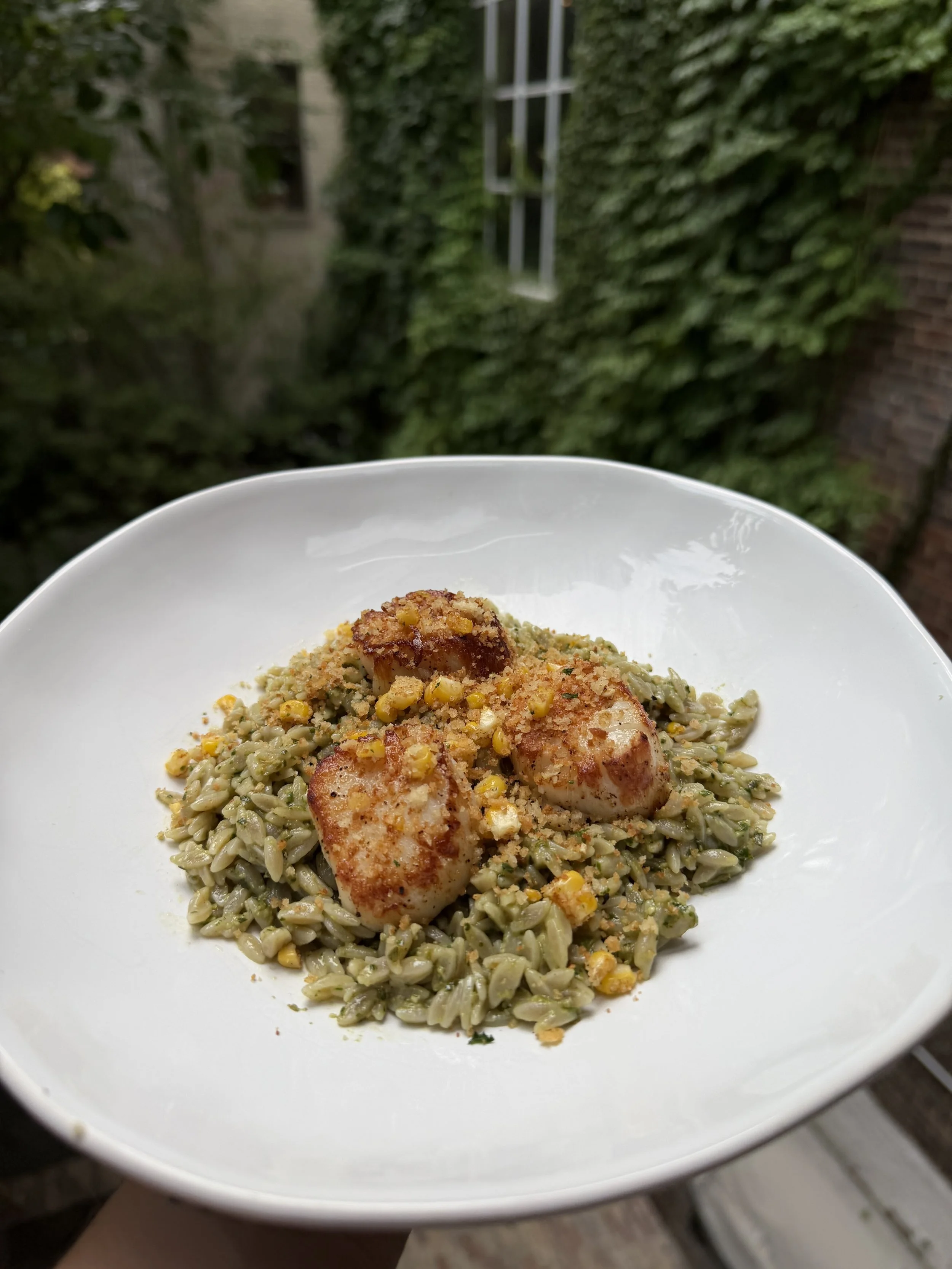 Shishito Pesto Orzo with Scallops &amp; Corn Pangratto