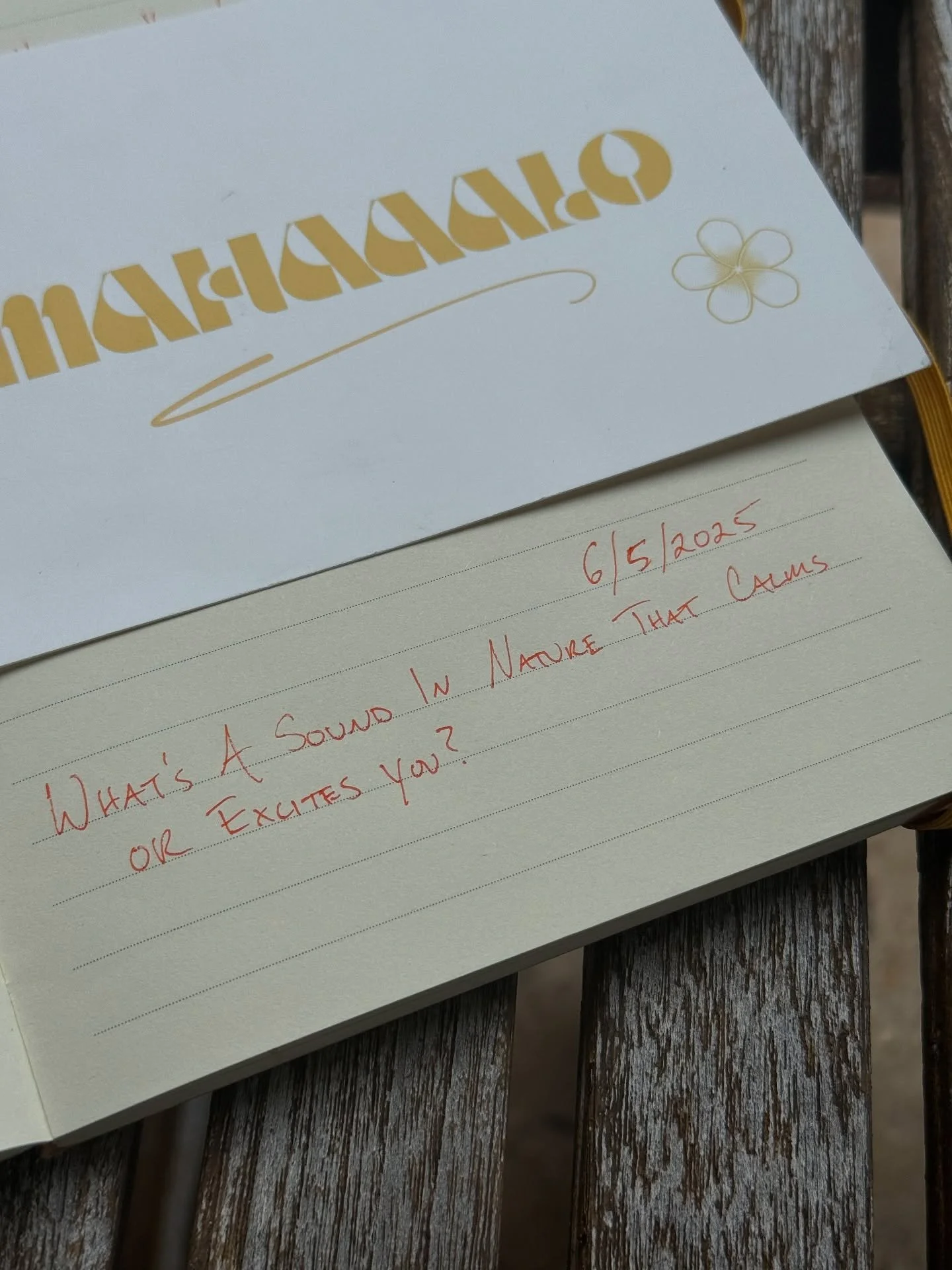 ✨What&rsquo;s a sound in nature that calms or excites you?

#Mahaaalo #Nature