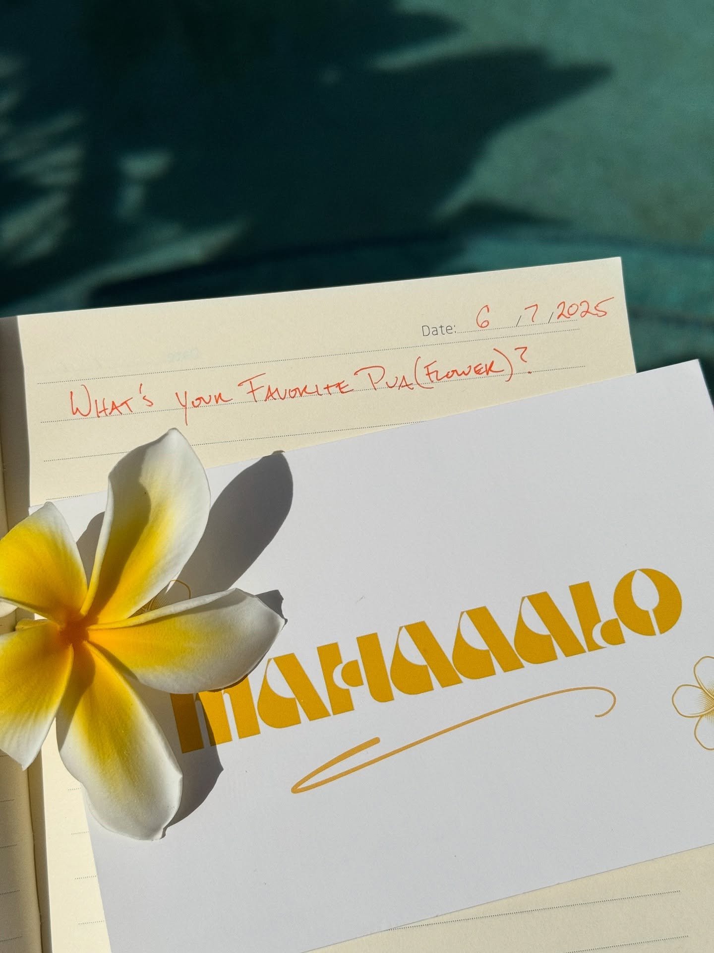 🌺 What&rsquo;s your favorite pua (flower)?

You know what our favorite is!  The plumeria is a symbol of humility and kindness, embodying the essence of aloha and reflecting a spirit of gratitude. 

#Mahaaalo #MahaaaloJournal #Plumeria #Pua