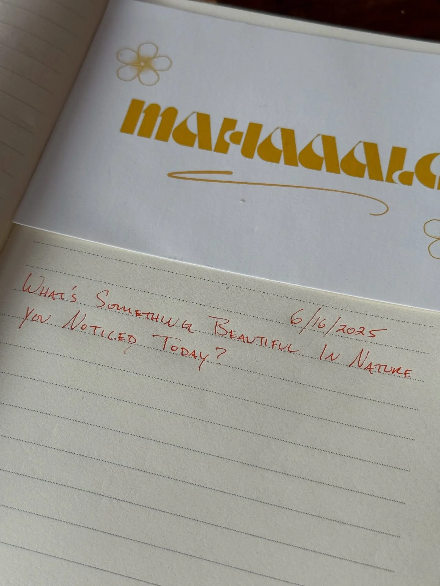 ✨What&rsquo;s something beautiful in nature you noticed today?

#Mahaaalo #Nature