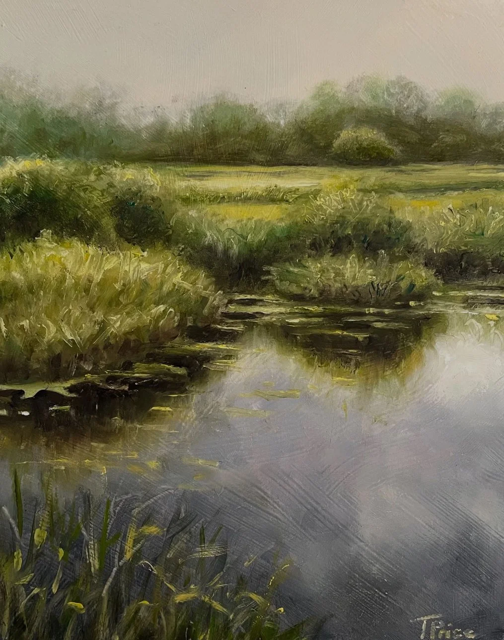 Auctioned | Grand Lake Meadow | OIL ON PANEL | 8" X 10"
