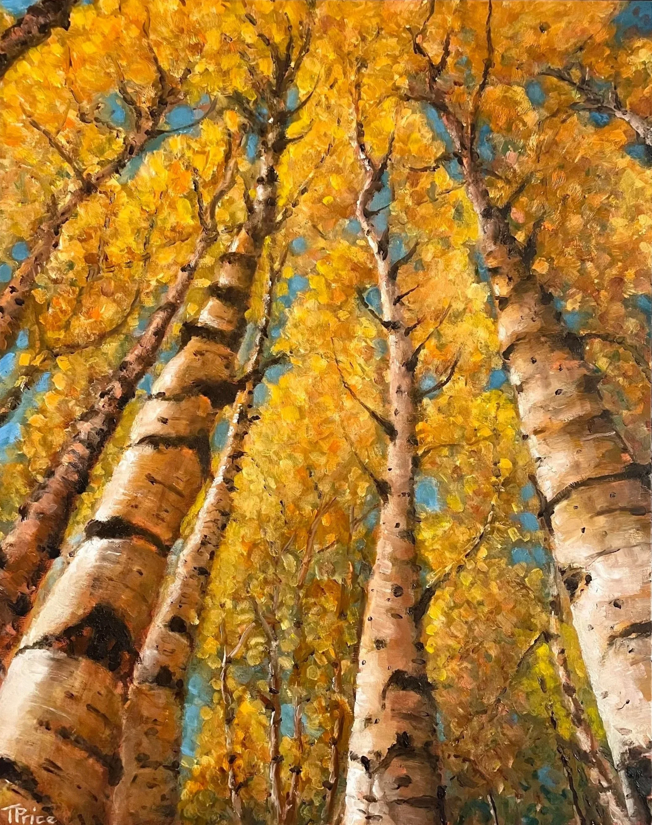 SOLD | ORIGINAL '26 |  Amber Canopy | OIL ON PANEL | 20" X 25"