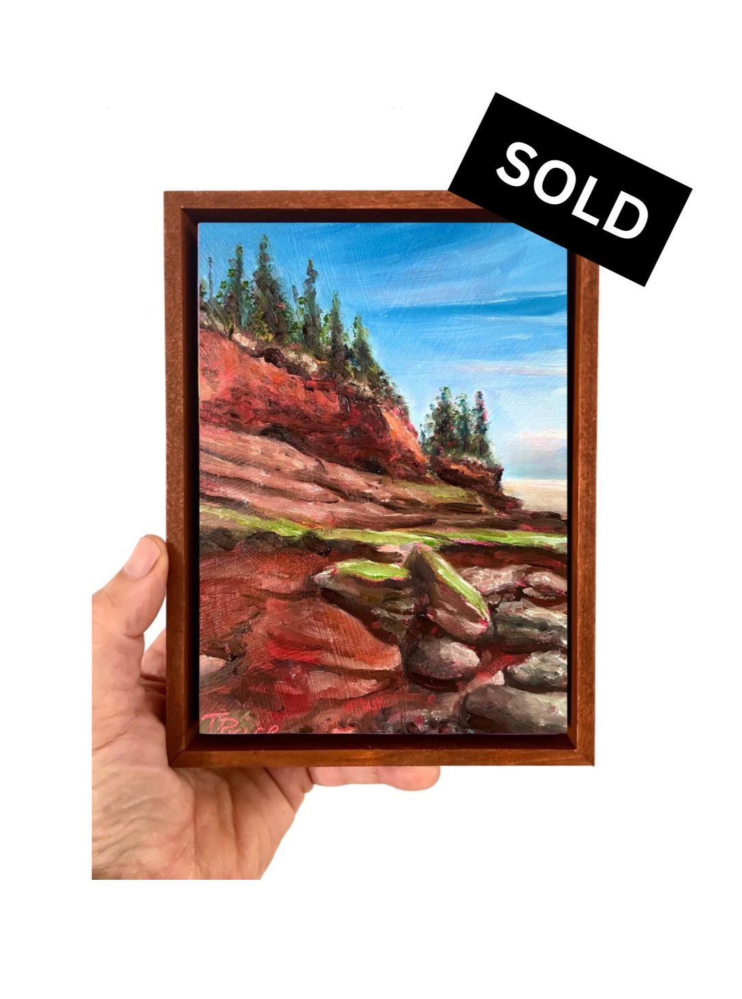 SOLD | Fundy Floor (Fundy Trail, NB) - 5" x 7", Original Oil, Framed