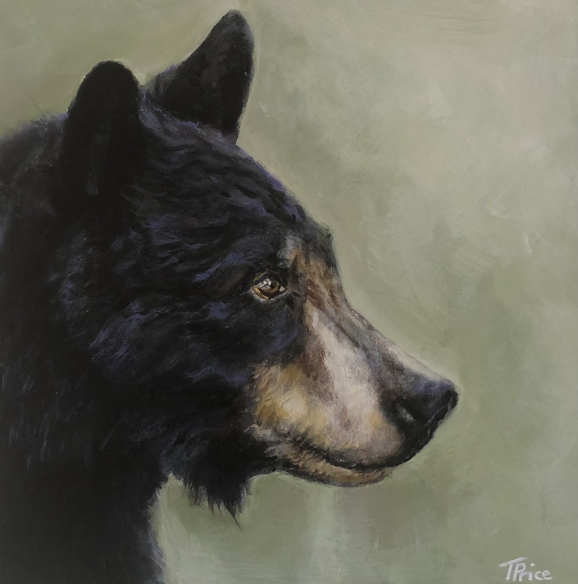 ORIGINAL | Black Bear | ACRYLIC ON PANEL | 10" X 10"