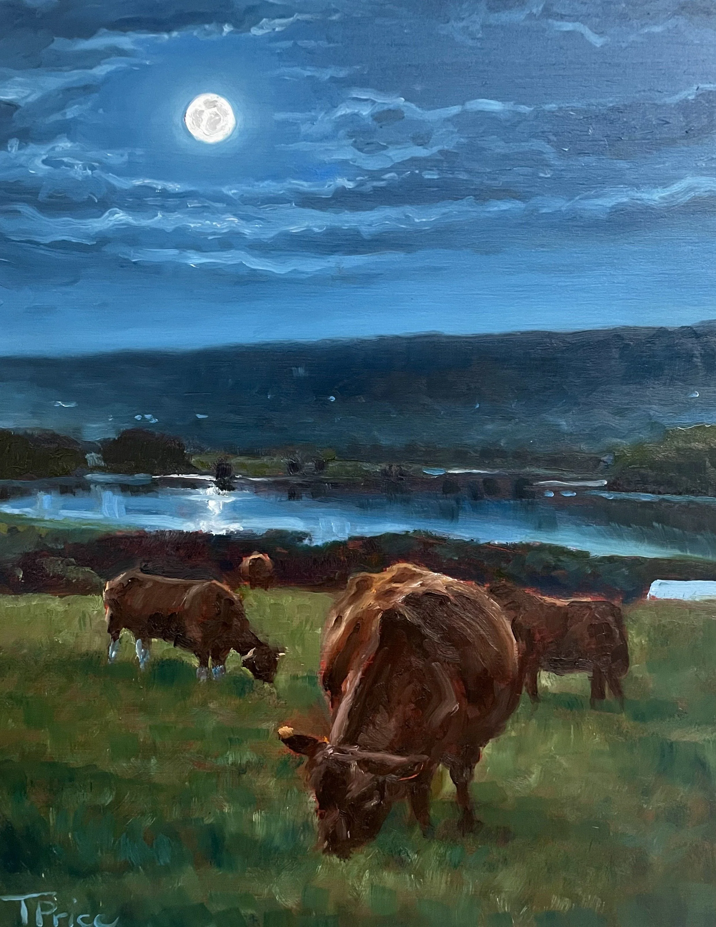SOLD | ORIGINAL '26| Springhill Night | Oil on Panel | 11" X 14"