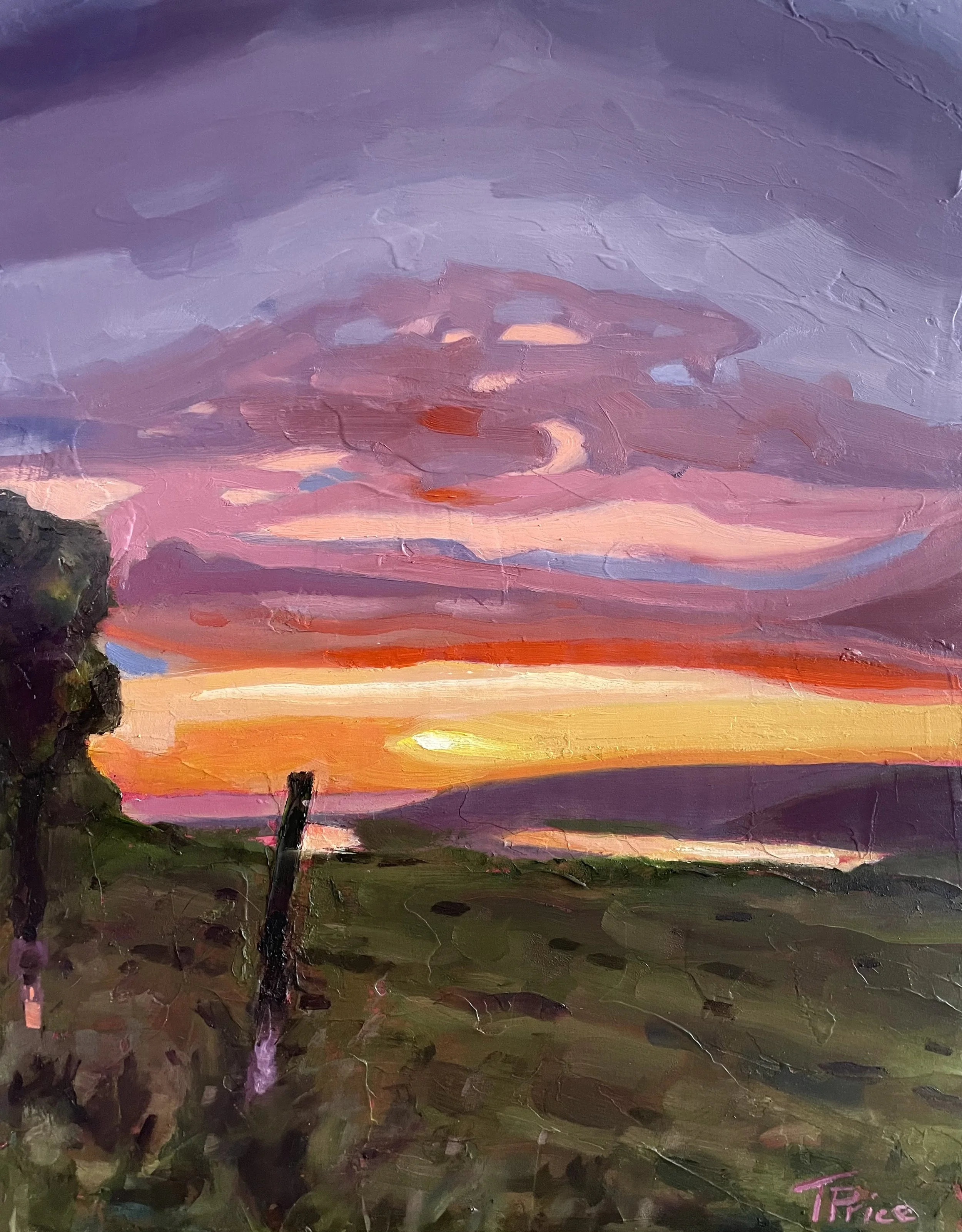 COMMISSION - ORIGINAL | Springhill | OIL ON PANEL | 12" X 16"