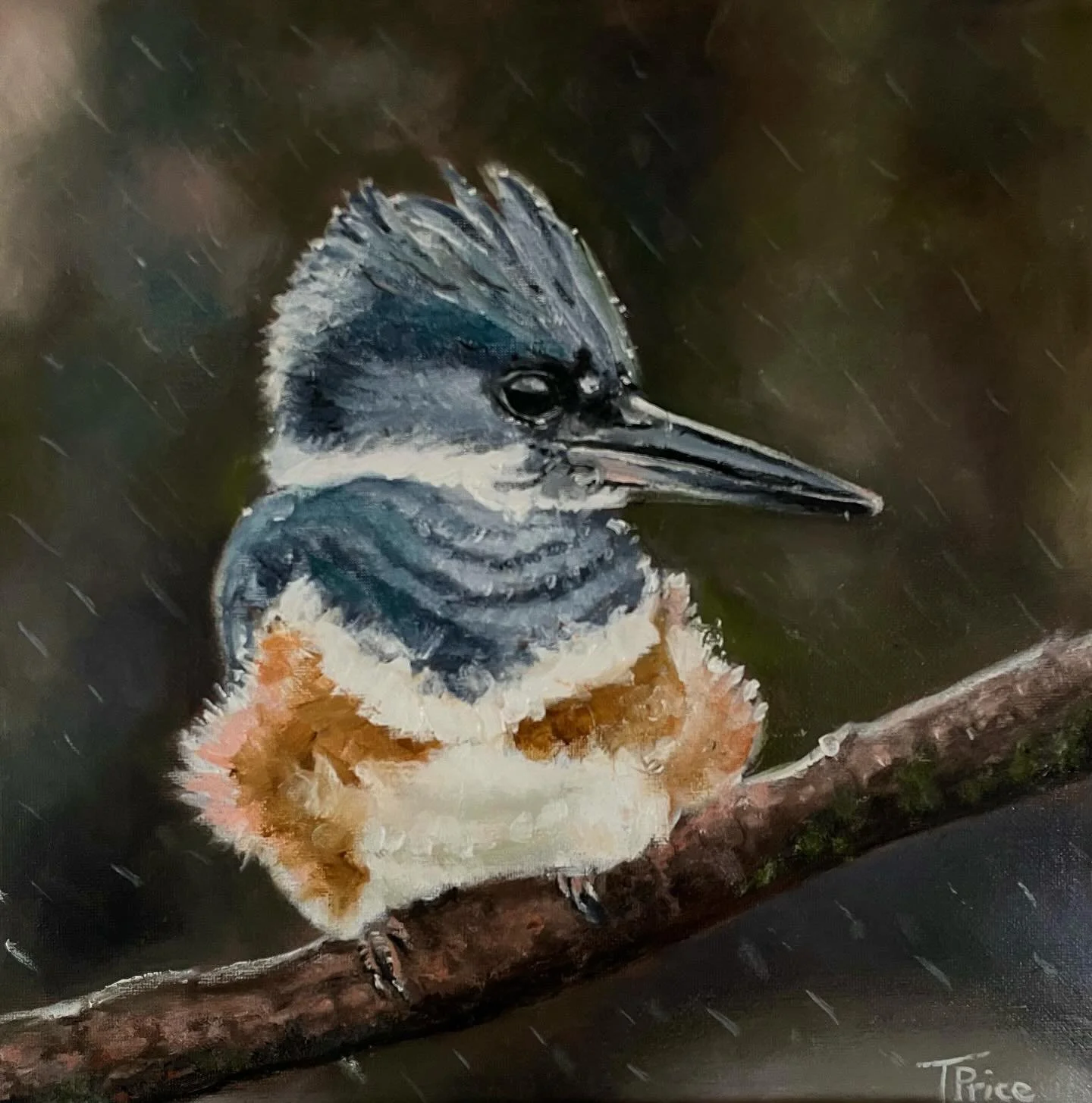 SOLD - ORIGINAL | Kingfisher | OIL ON PANEL | 10" X 10"