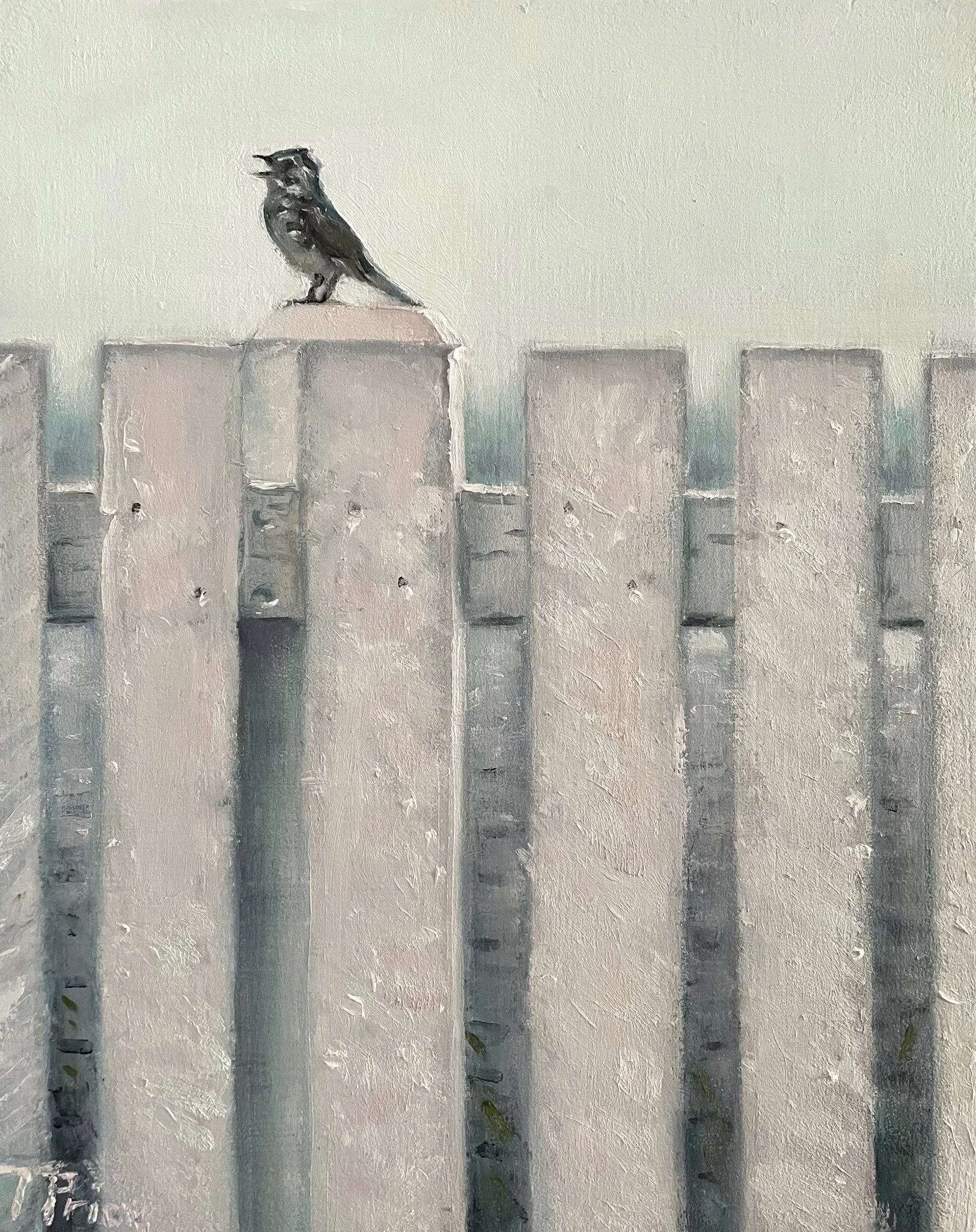 COMMISSION - ORIGINAL 2026 | Singing Sparrow (NL) | OIL ON PANEL | 8" X 10"