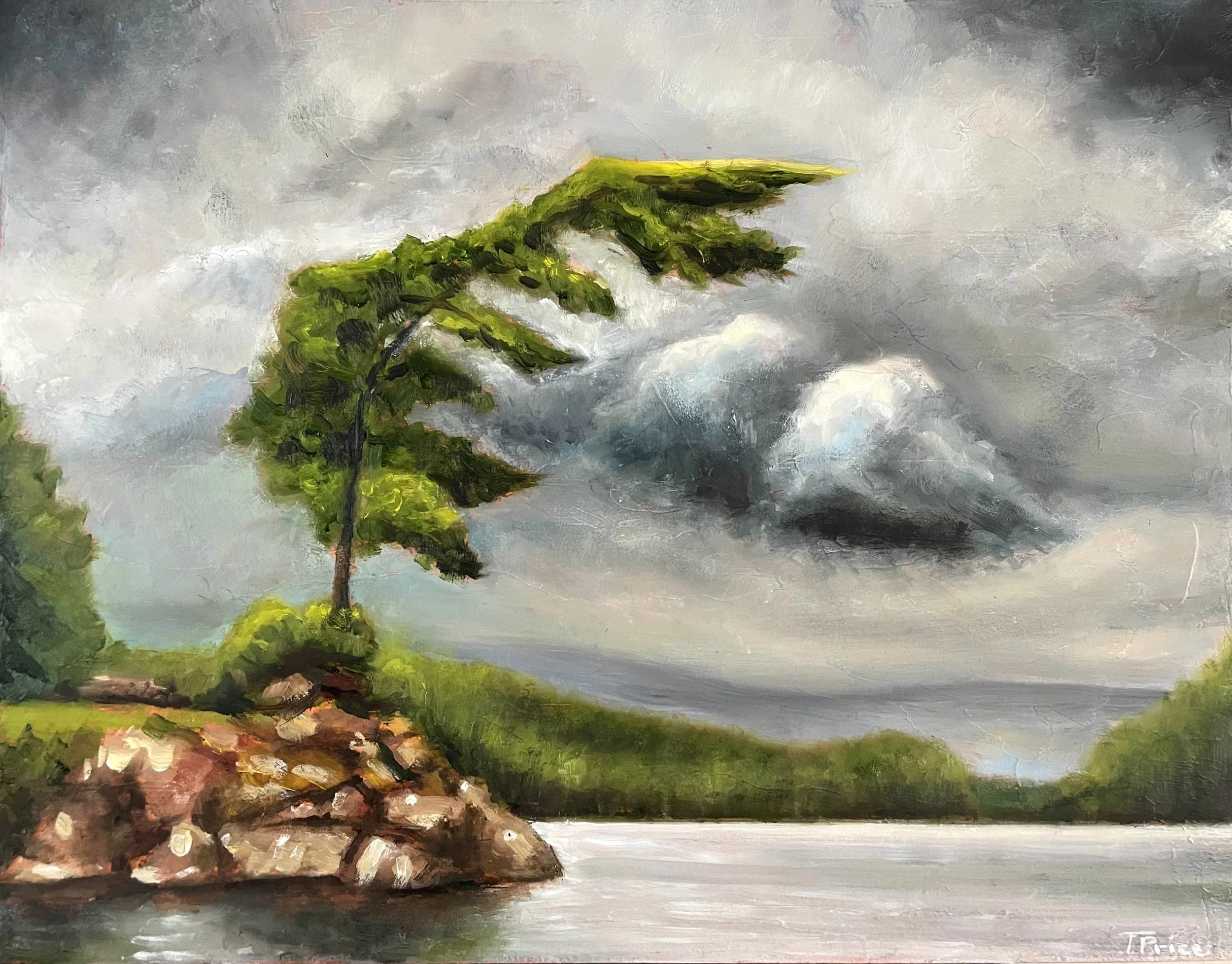 Original '26 | Jack Pine | OIL ON PANEL | 14" X 11"