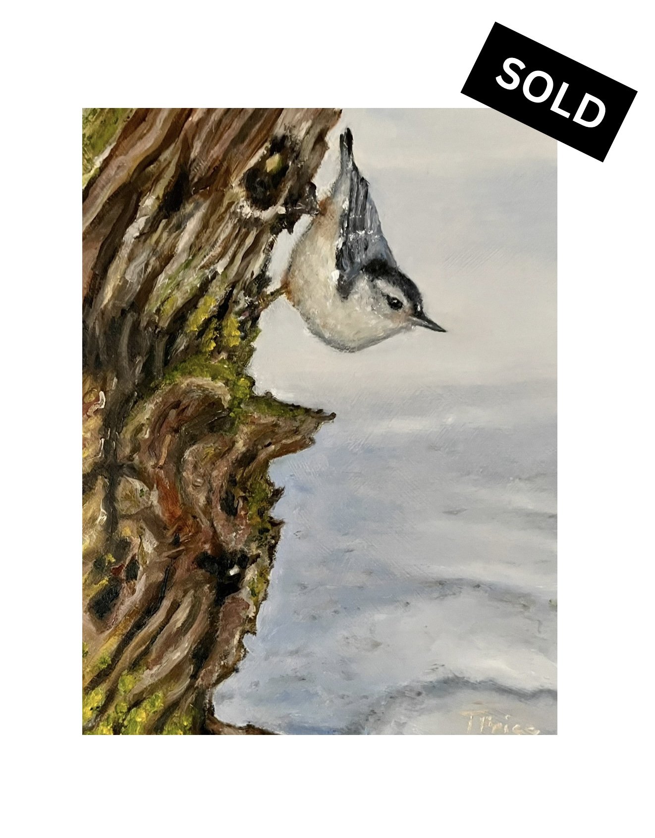 ORIGINAL | Nuthatch | OIL ON PANEL | 7" X 9"