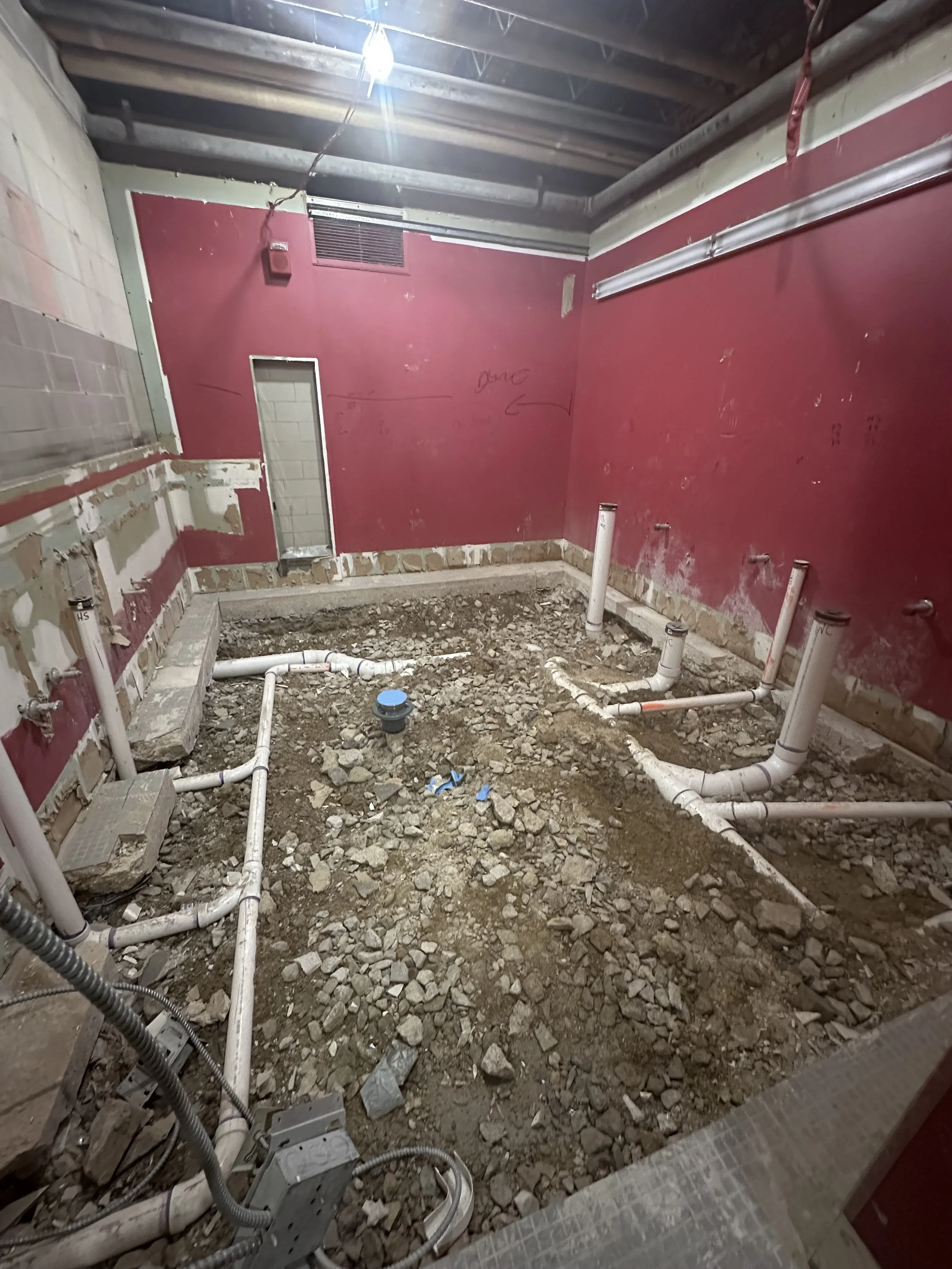 BASEMENT LADIES ROOM.jpg